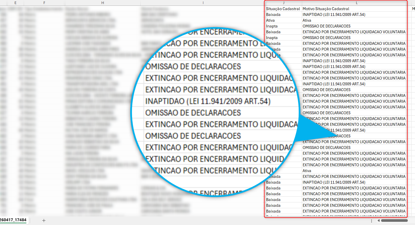 Tela complementar do BuscaCNPJ com dados detalhados e exportação